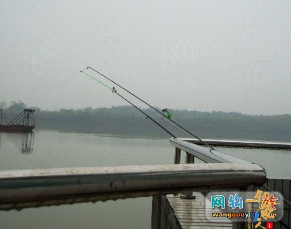 湘江又钓到怪鱼，源于翻板不灵改用串钩