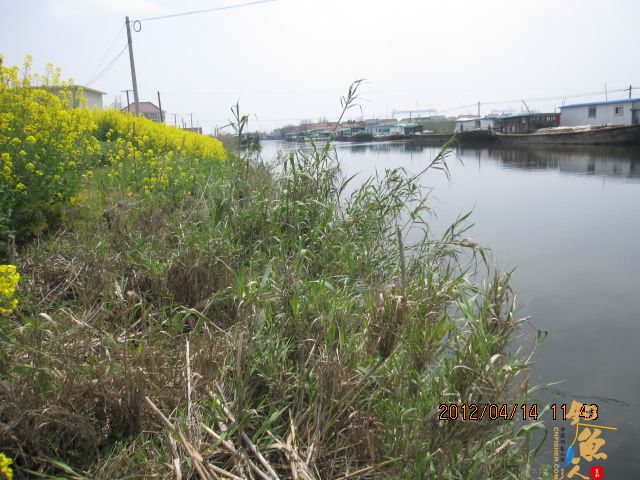 《随钓》——两日钓鱼两遇电工，神位也凋零
