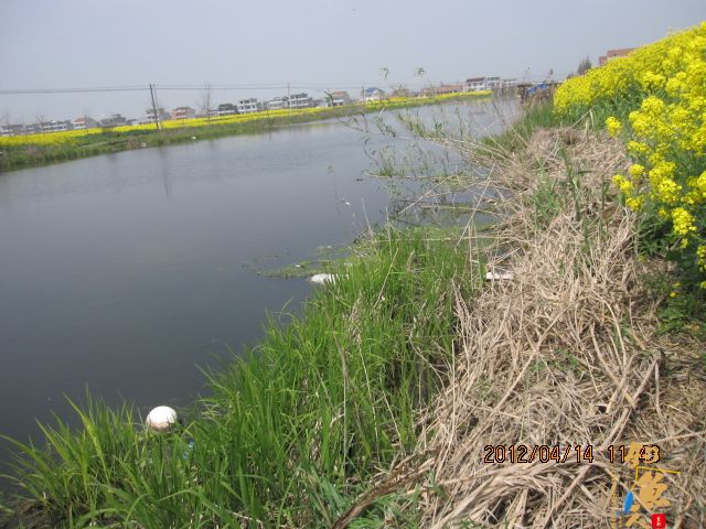 《随钓》——两日钓鱼两遇电工，神位也凋零