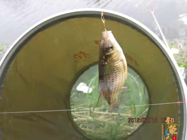 《随钓》——两日钓鱼两遇电工，神位也凋零