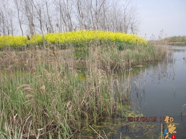 《随钓》——两日钓鱼两遇电工，神位也凋零