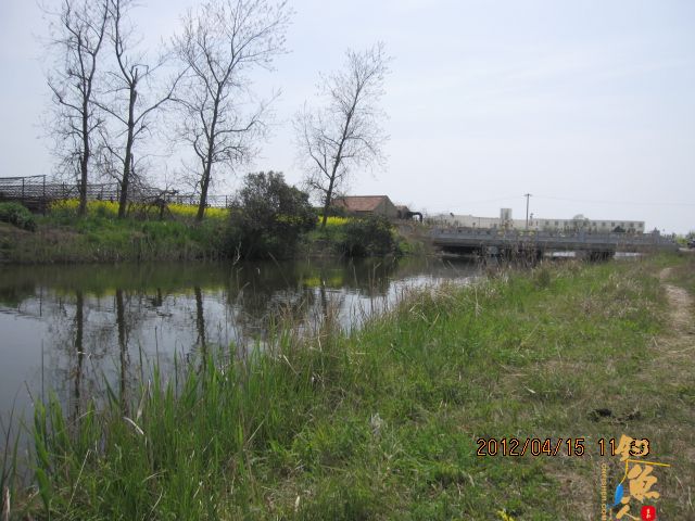 《随钓》——两日钓鱼两遇电工，神位也凋零