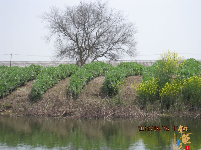 《随钓》——两日钓鱼两遇电工，神位也凋零