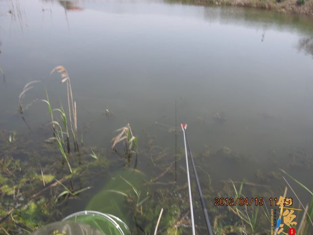 《随钓》——两日钓鱼两遇电工，神位也凋零