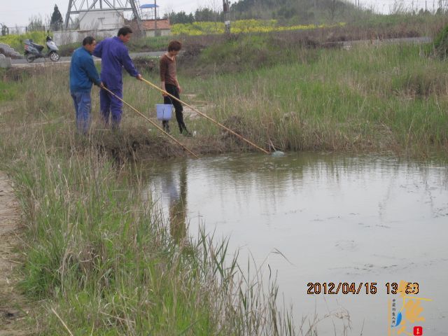 《随钓》——两日钓鱼两遇电工，神位也凋零