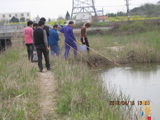 《随钓》——两日钓鱼两遇电工，神位也凋零
