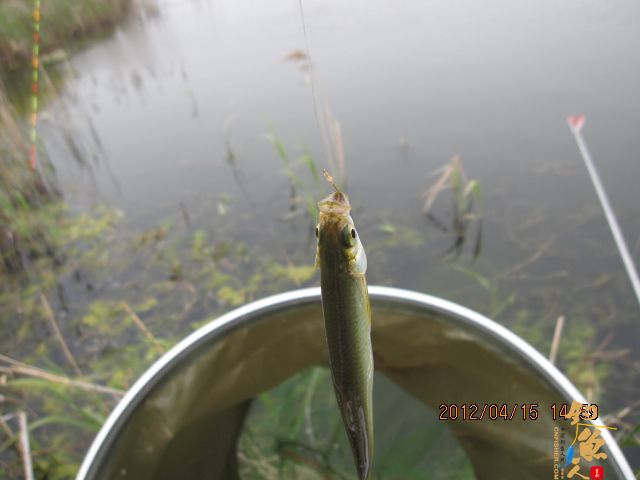 《随钓》——两日钓鱼两遇电工，神位也凋零