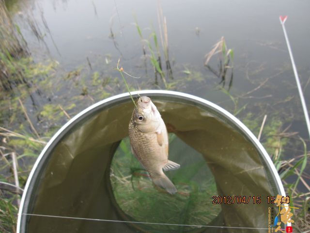 《随钓》——两日钓鱼两遇电工，神位也凋零