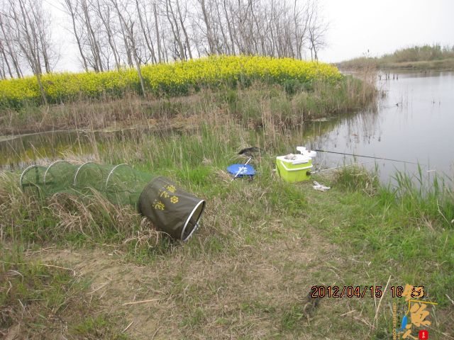 《随钓》——两日钓鱼两遇电工，神位也凋零