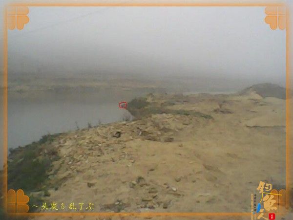 河中少鲫鲤，猫鱼称霸王，大篇幅文字