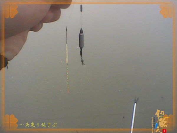 河中少鲫鲤，猫鱼称霸王，大篇幅文字