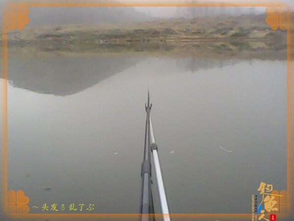 河中少鲫鲤，猫鱼称霸王，大篇幅文字