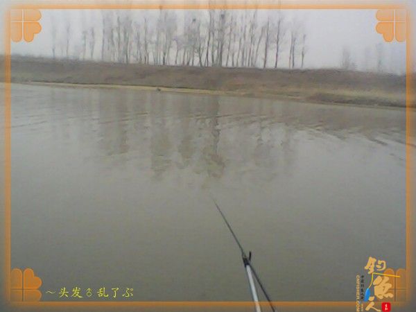 河中少鲫鲤，猫鱼称霸王，大篇幅文字