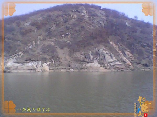 河中少鲫鲤，猫鱼称霸王，大篇幅文字