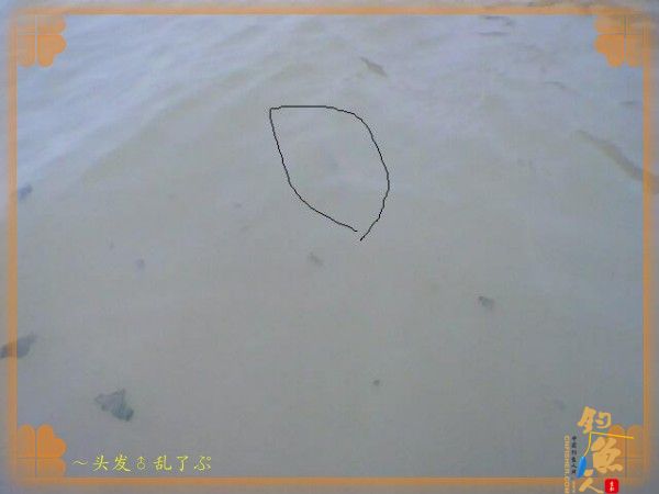 河中少鲫鲤，猫鱼称霸王，大篇幅文字