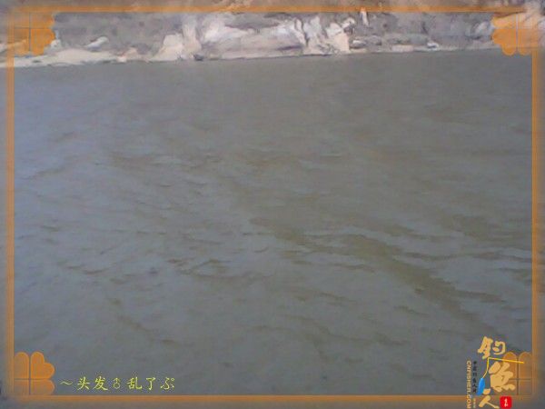 河中少鲫鲤，猫鱼称霸王，大篇幅文字