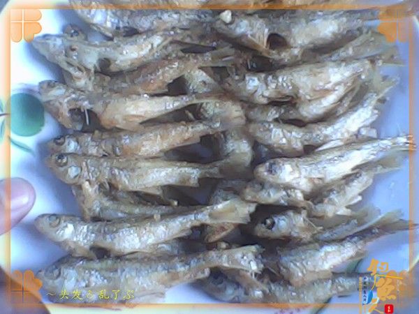 河中少鲫鲤，猫鱼称霸王，大篇幅文字