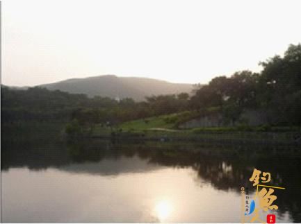 碧桂园塘厦举办钓鱼爱好者塘坑湖垂钓竞赛