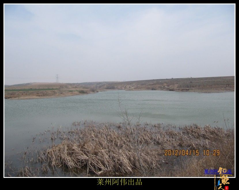 周日解毒之喜逢小鲤妹妹