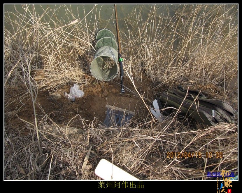 周日解毒之喜逢小鲤妹妹