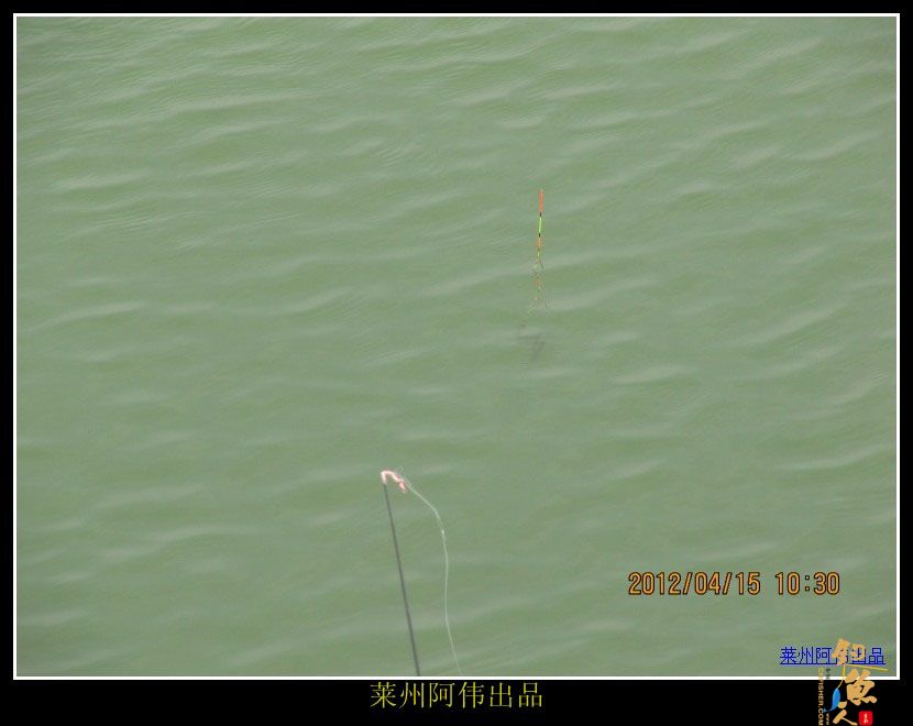 周日解毒之喜逢小鲤妹妹