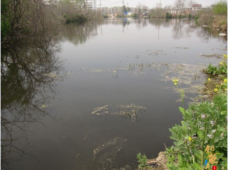 做一个有责任的钓鱼人