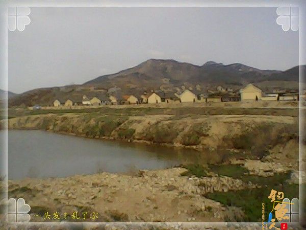 偷鲫不成遭“条”戏 图