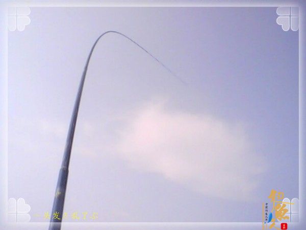 偷鲫不成遭“条”戏 图