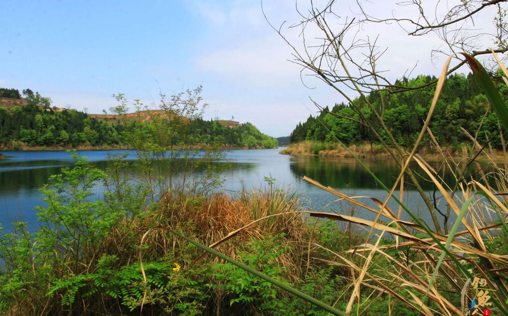 【纯粹江湖】-“缘”来如此!绵阳 仙海湖风光