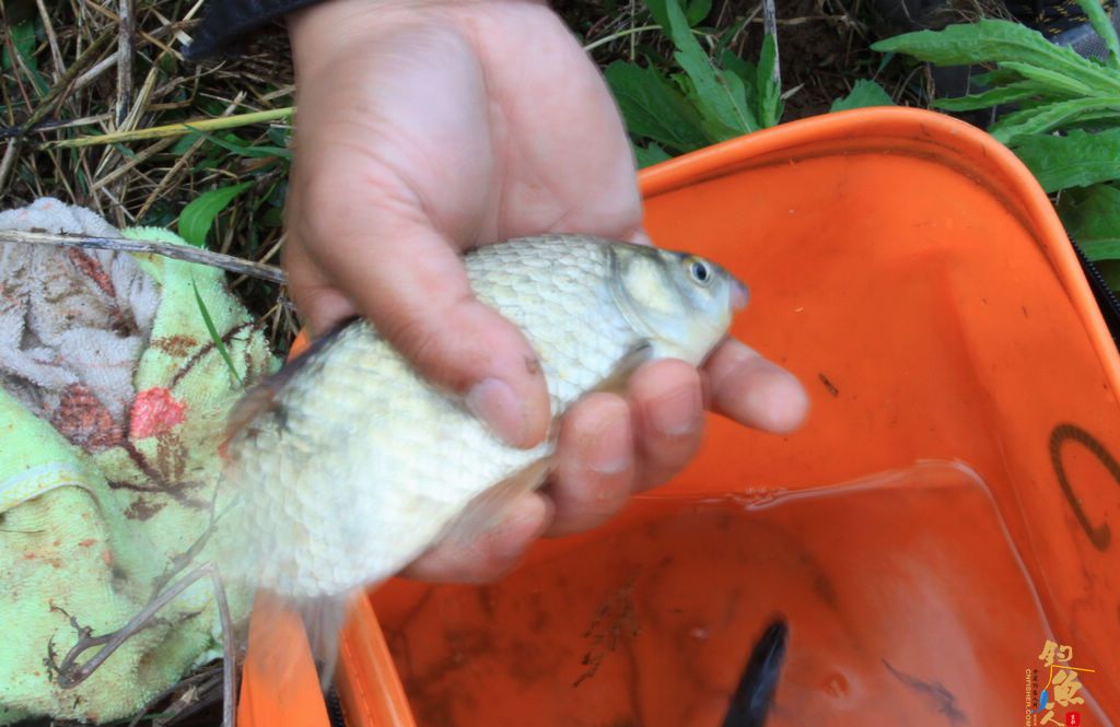 【纯粹江湖】-“缘”来如此！绵阳 仙海湖