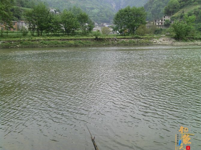 激情的清江河(16)身心疲惫换钓位 鱼儿活跃解心结