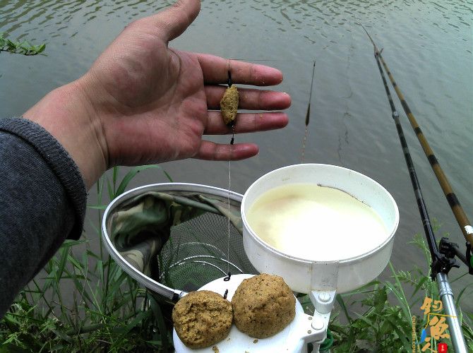 激情的清江河(16)身心疲惫换钓位 鱼儿活跃解心结