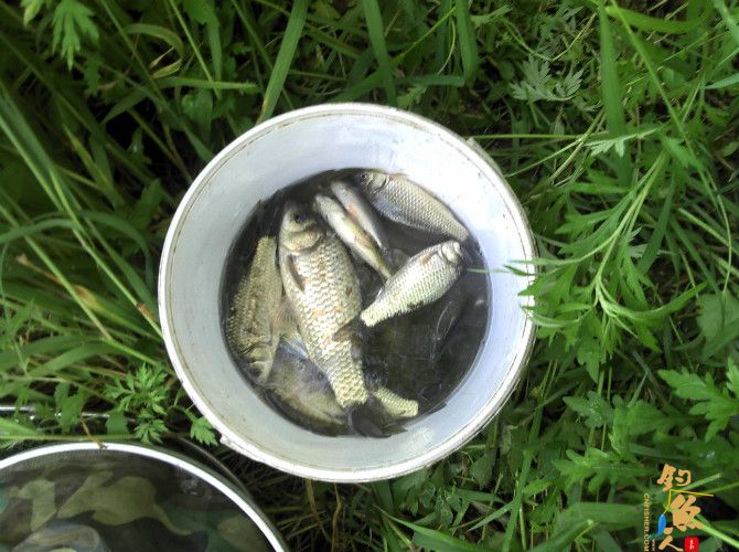 激情的清江河(16)身心疲惫换钓位 鱼儿活跃解心结