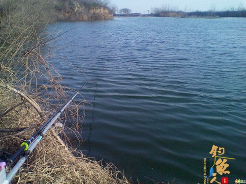 4月15日河北邯郸峰峰佐城水库意外鱼获