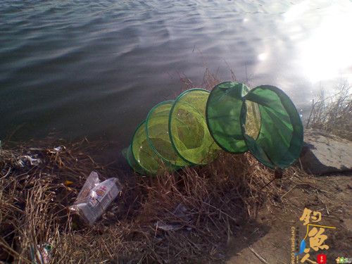 4月15日河北邯郸峰峰佐城水库意外鱼获