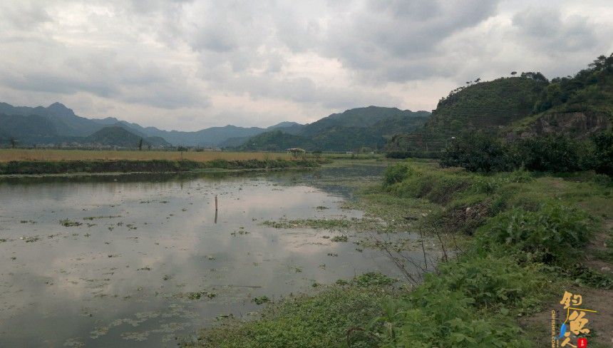 跑了大鱼 收获一江风景
