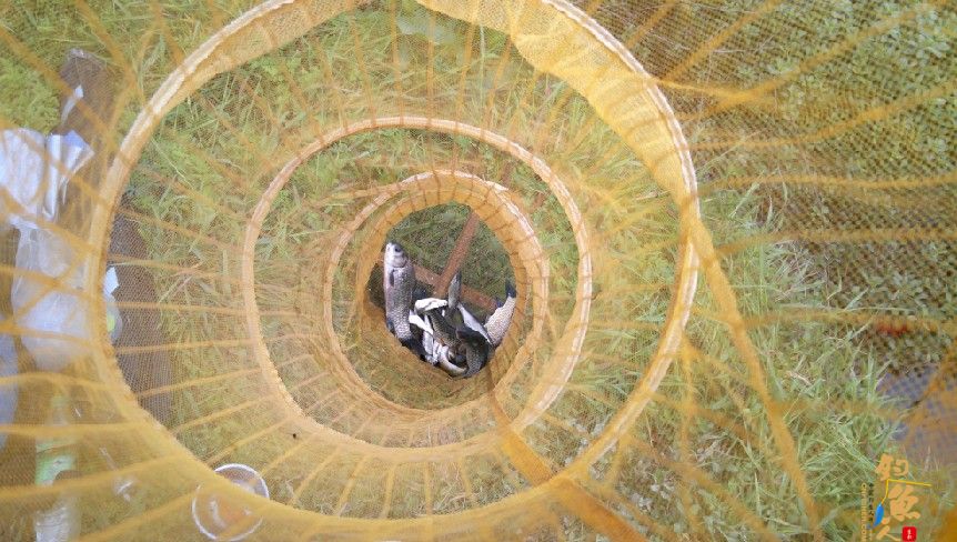 跑了大鱼 收获一江风景