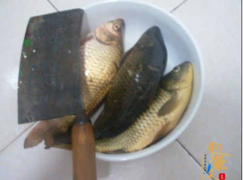 我和老婆去钓鱼