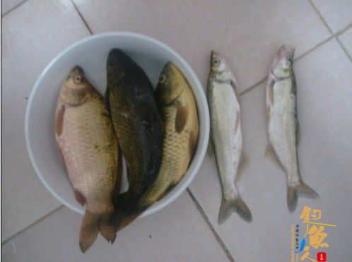 我和老婆去钓鱼