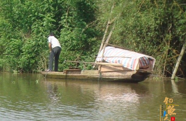青龙江之《虎口夺食》