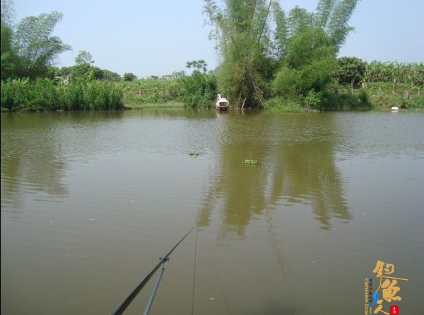 青龙江之《虎口夺食》