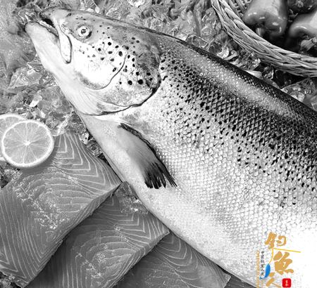 假作真时真亦假，洋鱼洋气受洋罪