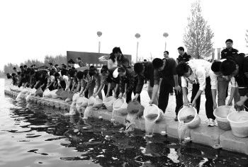 放鱼季,让我们放鱼去!