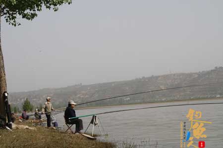 千阳：千湖岸边钓鱼忙
