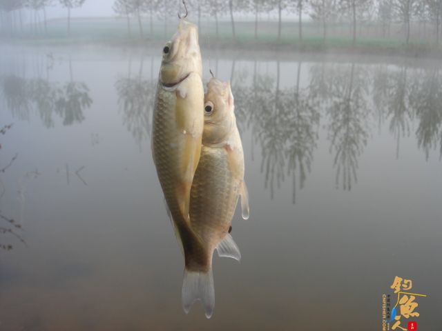 【原创】钓鱼、划船、烧烤，一个都不能少