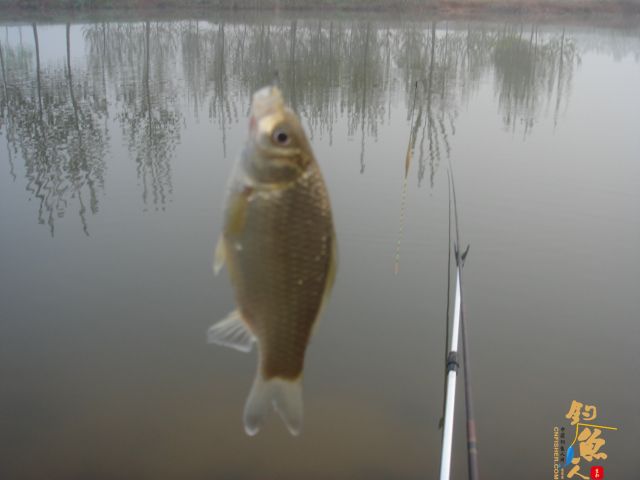 【原创】钓鱼、划船、烧烤，一个都不能少