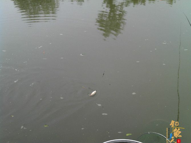 流水地方好钓鱼 乌云密布快点跑