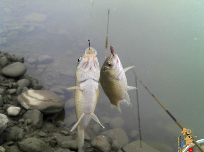 流水地方好钓鱼 乌云密布快点跑