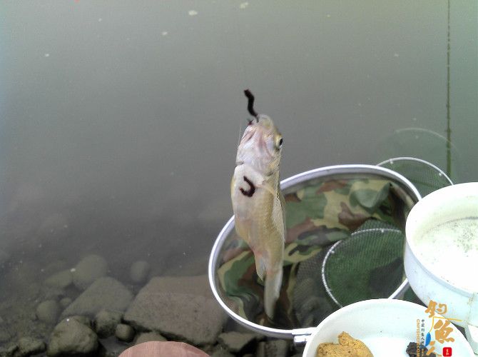 流水地方好钓鱼 乌云密布快点跑