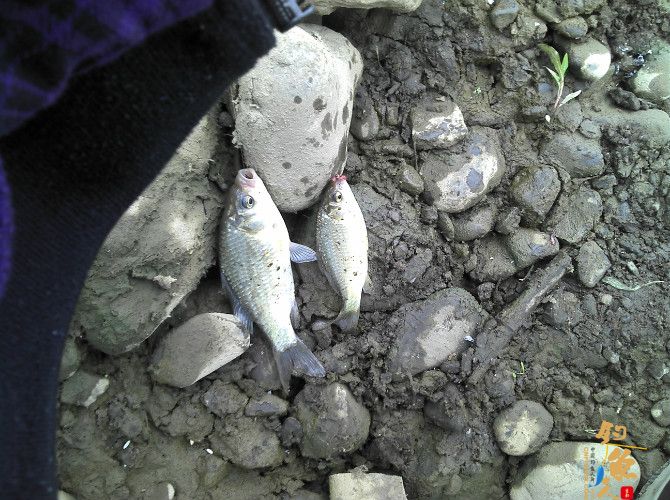 流水地方好钓鱼 乌云密布快点跑